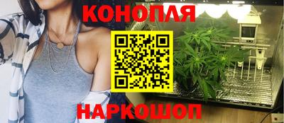 сатива Волжск