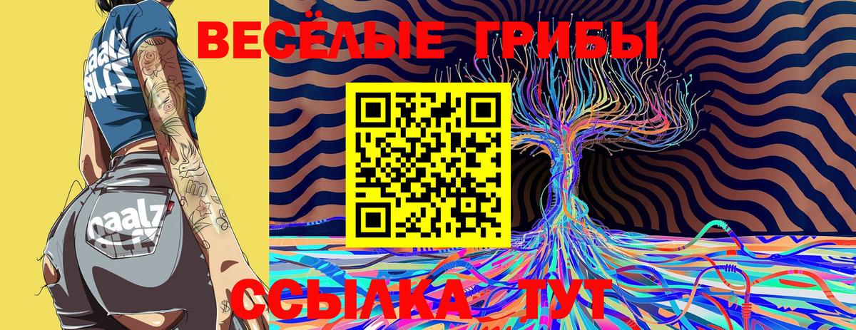 Нефтеюганск  Псилоцибиновые грибы Cubensis  Вход с VPN 
